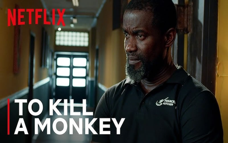 To kill a monkey